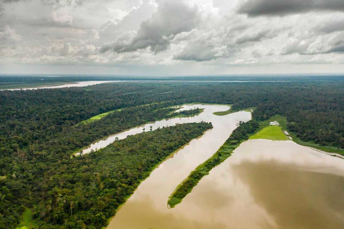 Periodistas independientes harán frente a delitos ambientales en la Amazonía peruana