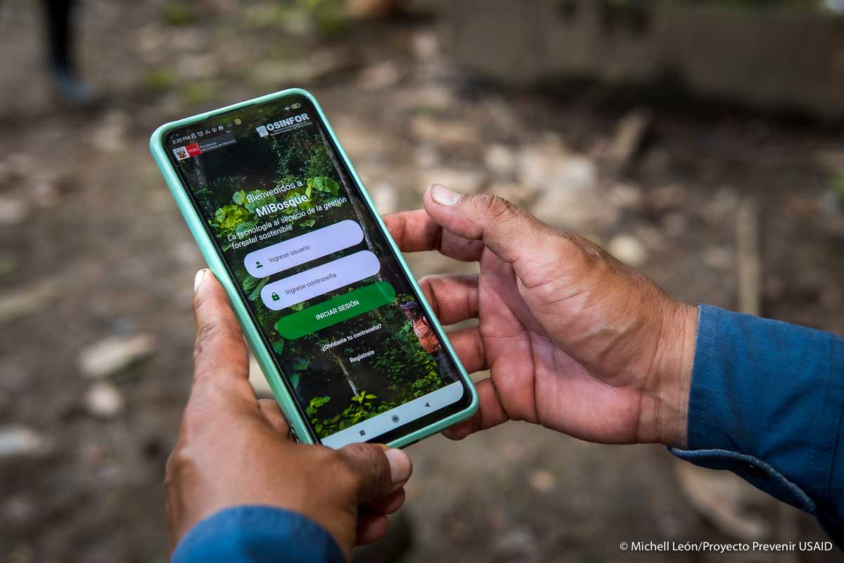 MiBosque: un aplicativo para garantizar la legalidad en la cadena de madera y castaña en la Amazonía peruana