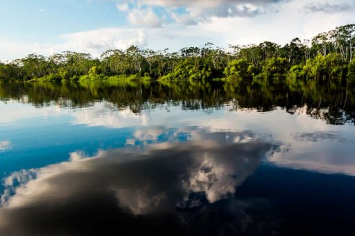 Amazonía y política para un desarrollo sostenible