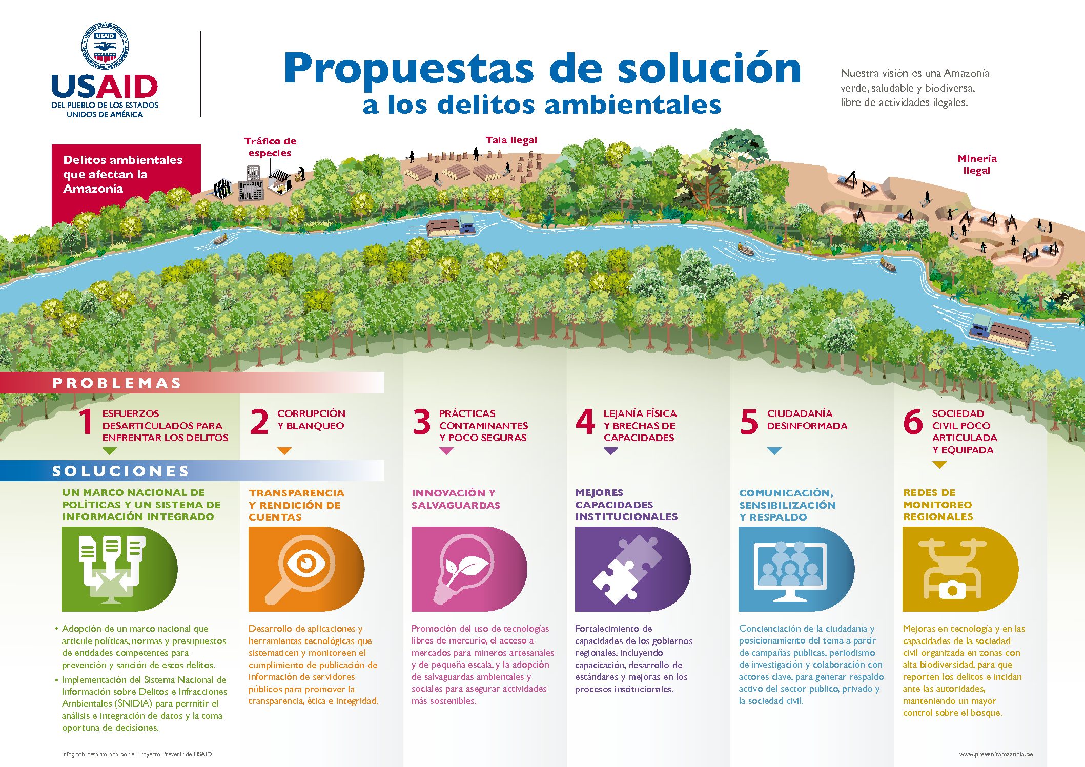 Infografía: Soluciones frente a los delitos ambientales en la Amazonía peruana
