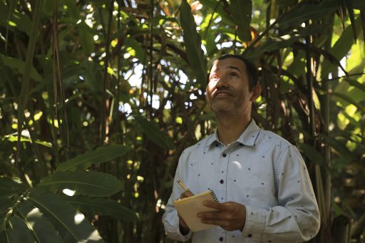 Construyendo un futuro para los bosques de varillales de Loreto