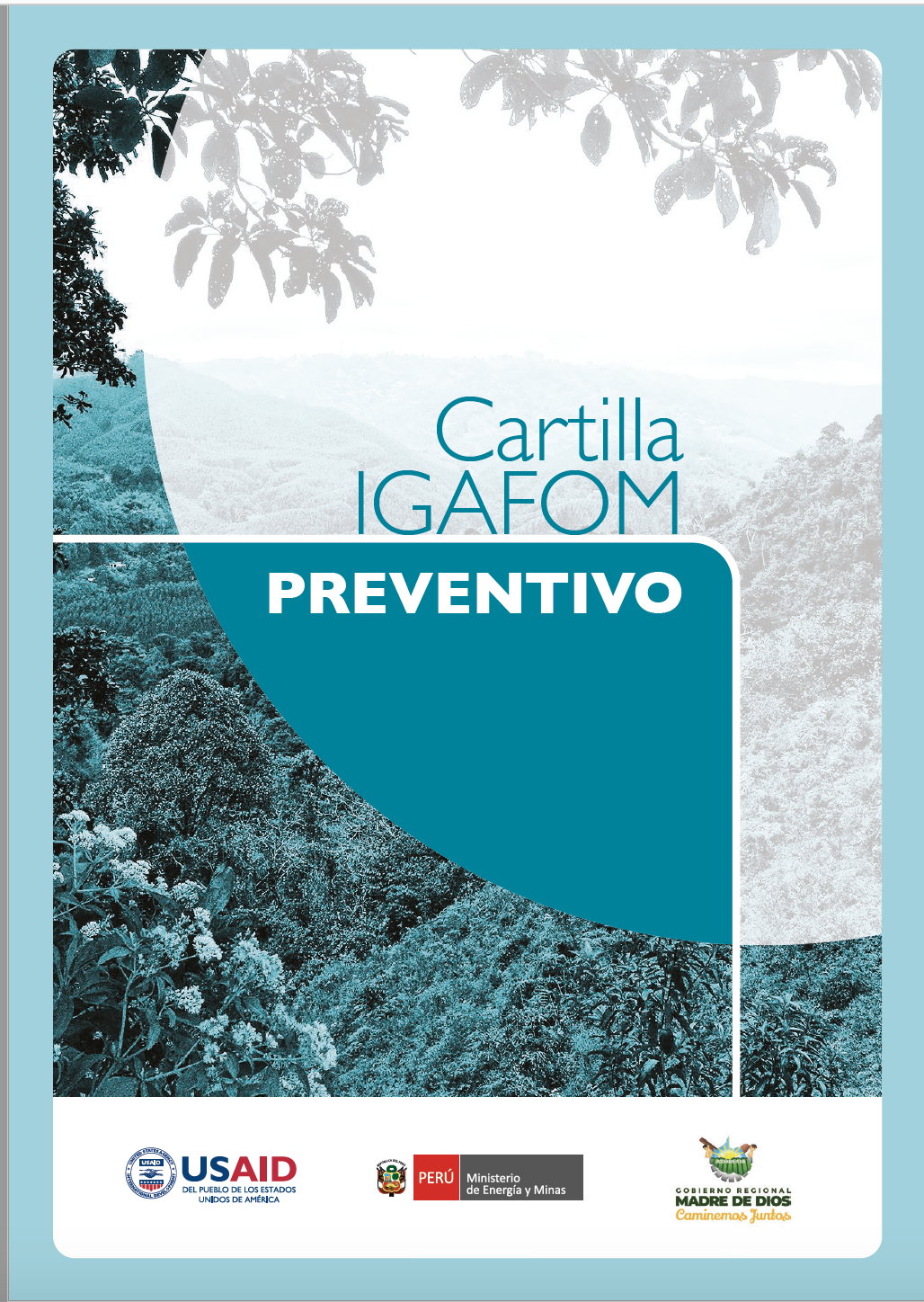 Cartilla del Instrumento de Gestión Ambiental para la Formalización de Actividades de Pequeña Minería y Minería Artesanal (IGAFOM) Preventivo.
