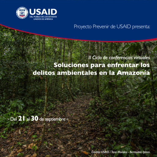 Soluciones para enfrentar los delitos ambientales en la Amazonía