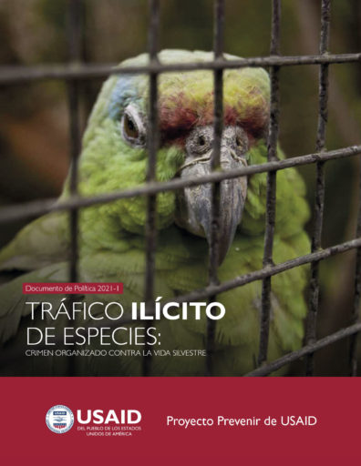 Tráfico ilícito de especies: Crimen organizado contra la vida silvestre