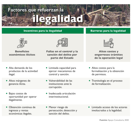 Factores que refuerzan la ilegalidad - Amazonia