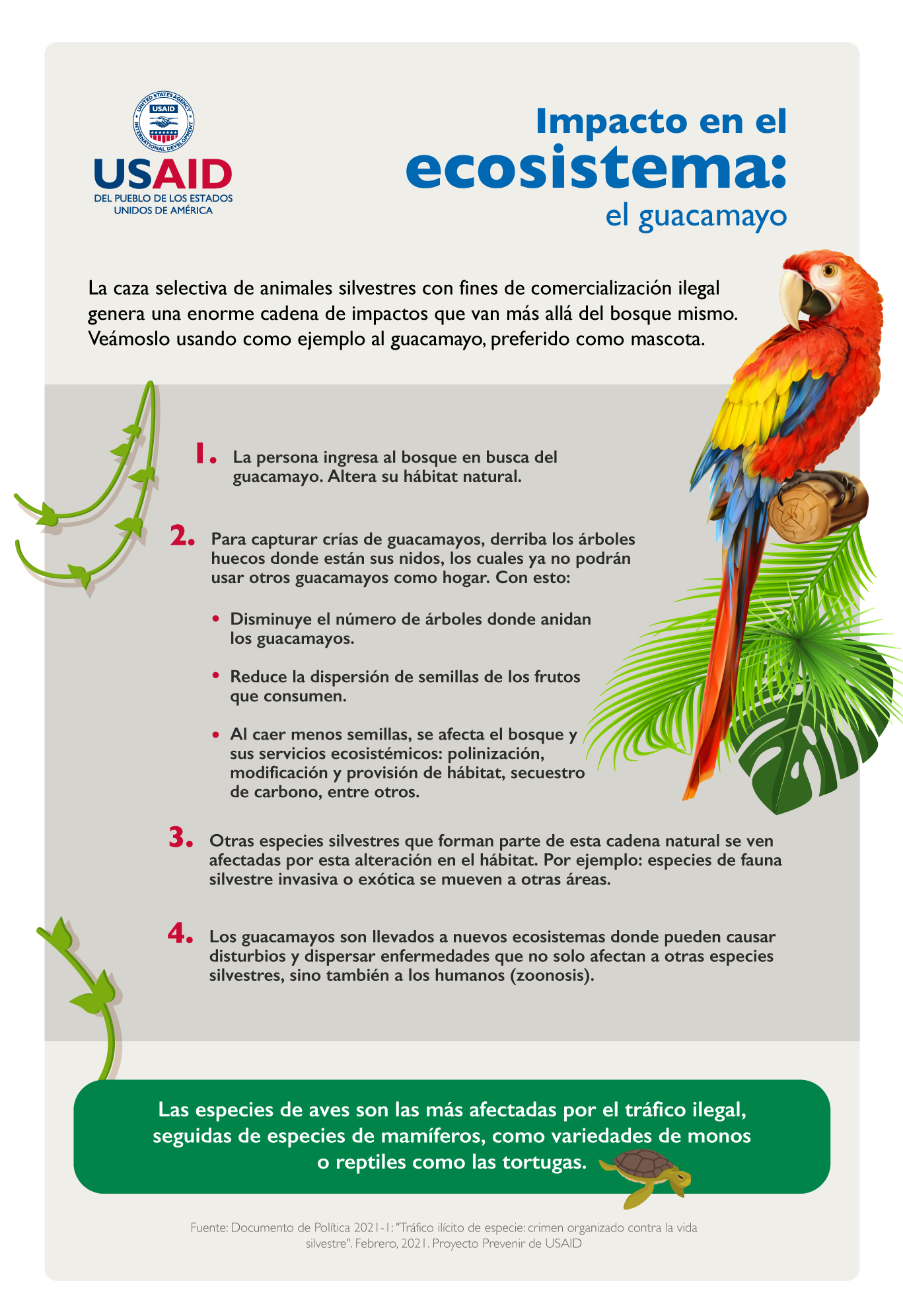 Tráfico ilícito de vida silvestre - El caso del guacamayo