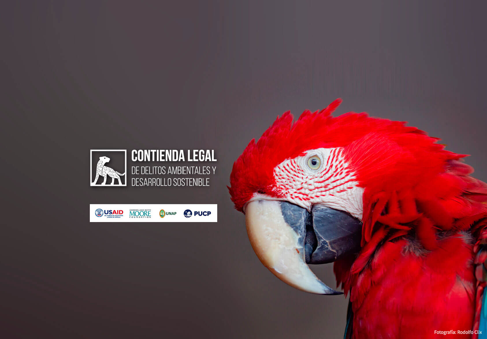 Primera Contienda Legal especializada en delitos ambientales y desarrollo sostenible en la Amazonía