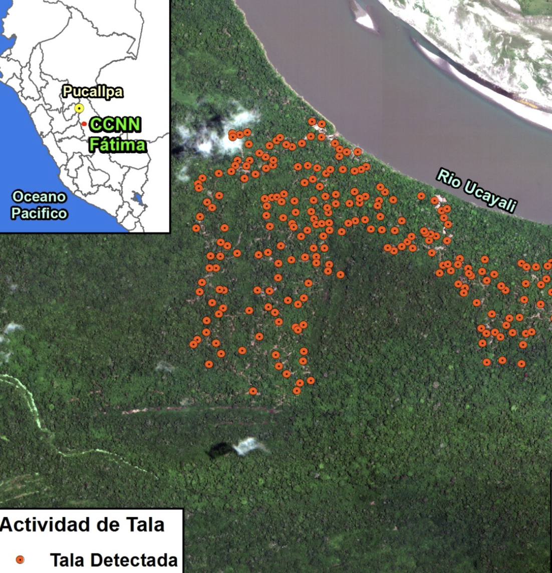 Fátima, un caso complejo de tala ilegal en la Amazonía