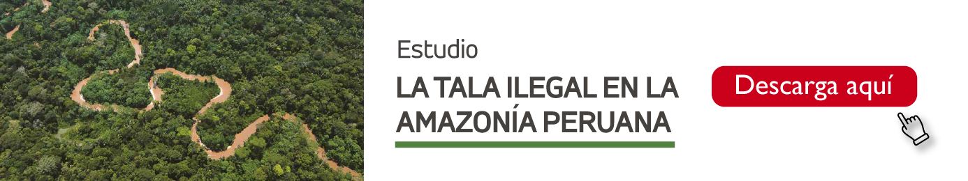 PDF Estudio La tala ilegal en la Amazonía peruana