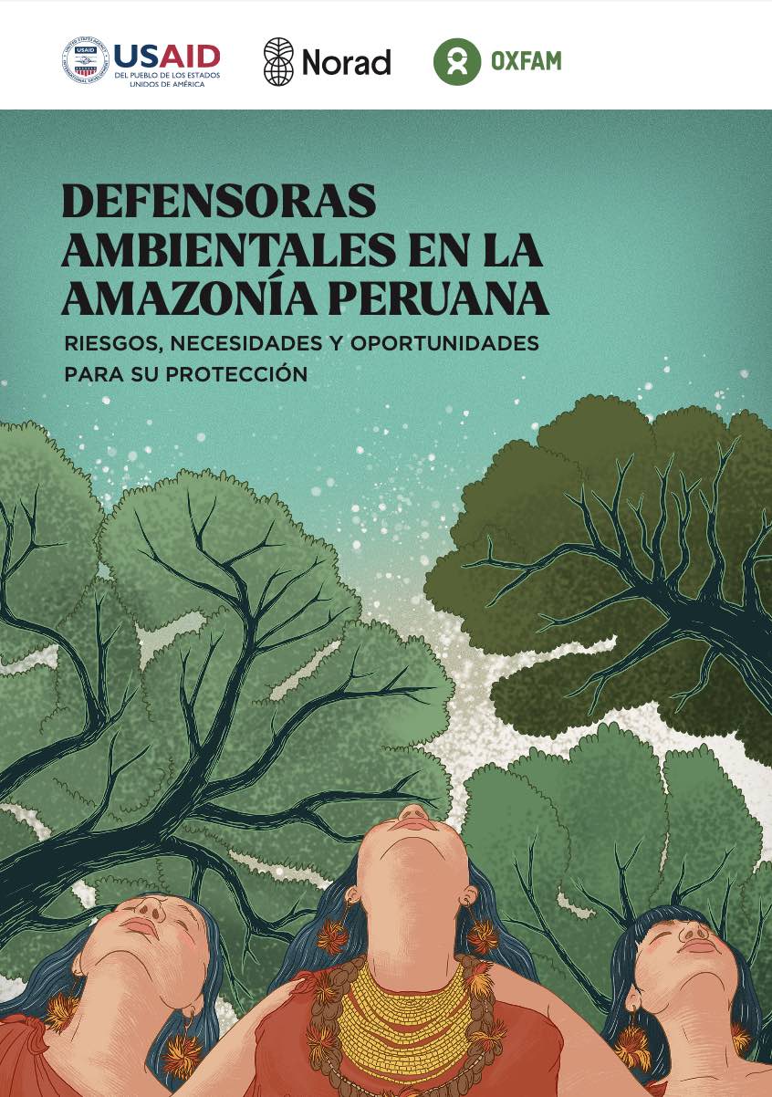 Defensoras ambientales en la Amazonía Peruana: riesgos, necesidades y oportunidades para su protección