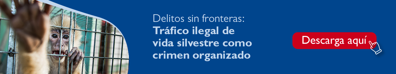 Documento Delitos sin fronteras: Tráfico ilegal de vida silvestre como crimen organizado