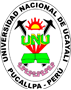 Universidad Nacional de Ucayali