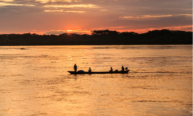 Soluciones para la Amazonía: propuestas para un cambio sostenible frente a los delitos ambientales