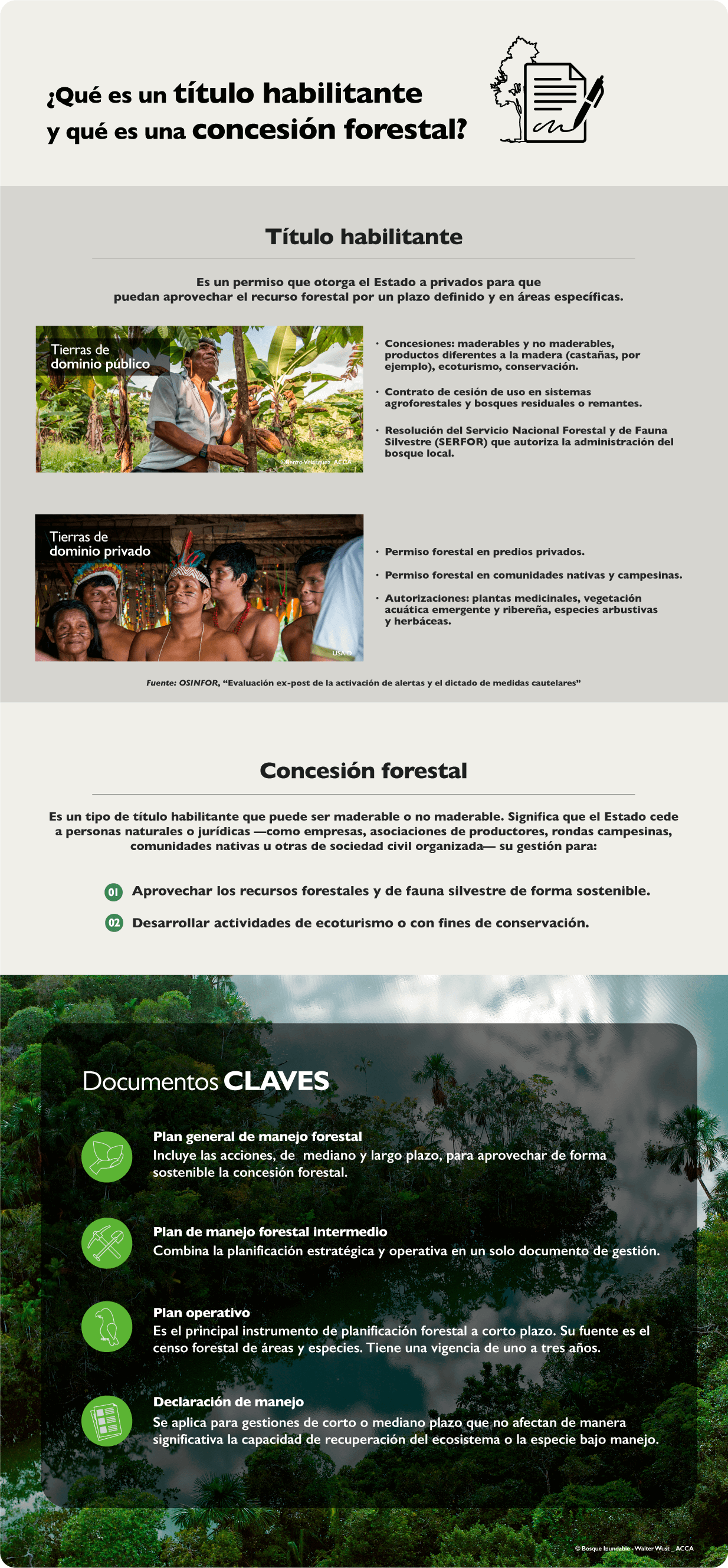 Tala y tráfico ilegal de madera - Prevenir Amazonía